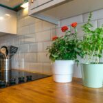 kitchen, plants, home